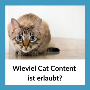 Wieviel Cat Content ist erlaubt?